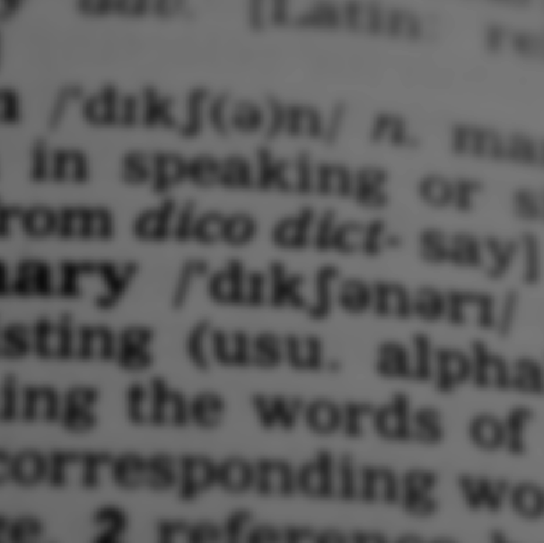 Limited Liability Company (LLC)